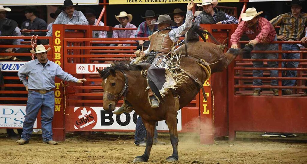Top 10 Winners of the Best Rodeo Competitions Lifenyo