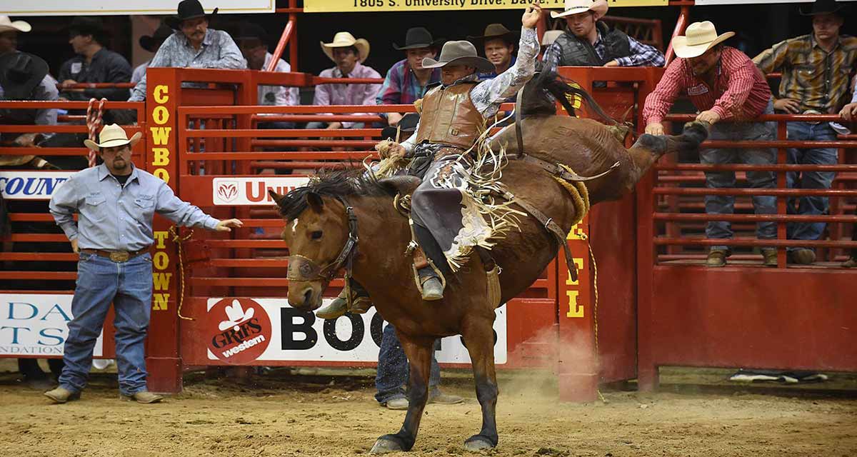 Top 10 Winners of the Best Rodeo Competitions