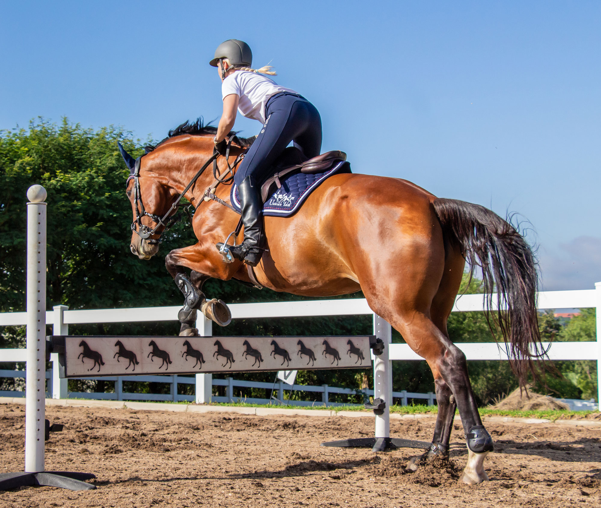 Stop Your Horse Rushing at the Jump